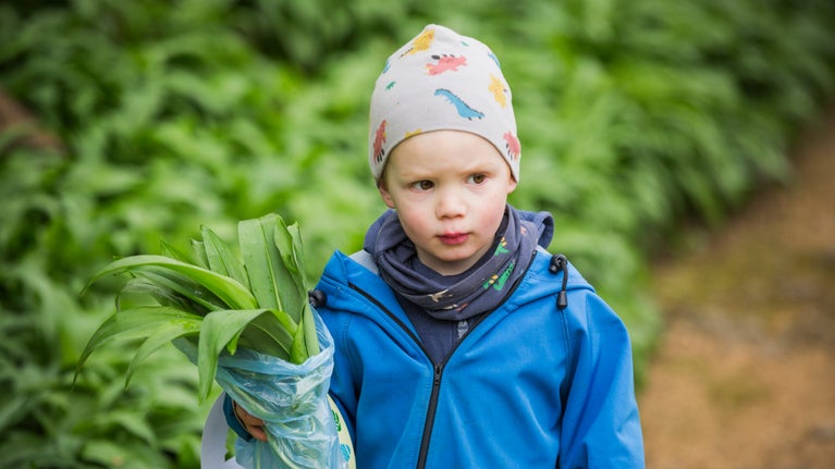 A small child on a woodland path, clutching a bag filled with green leaves